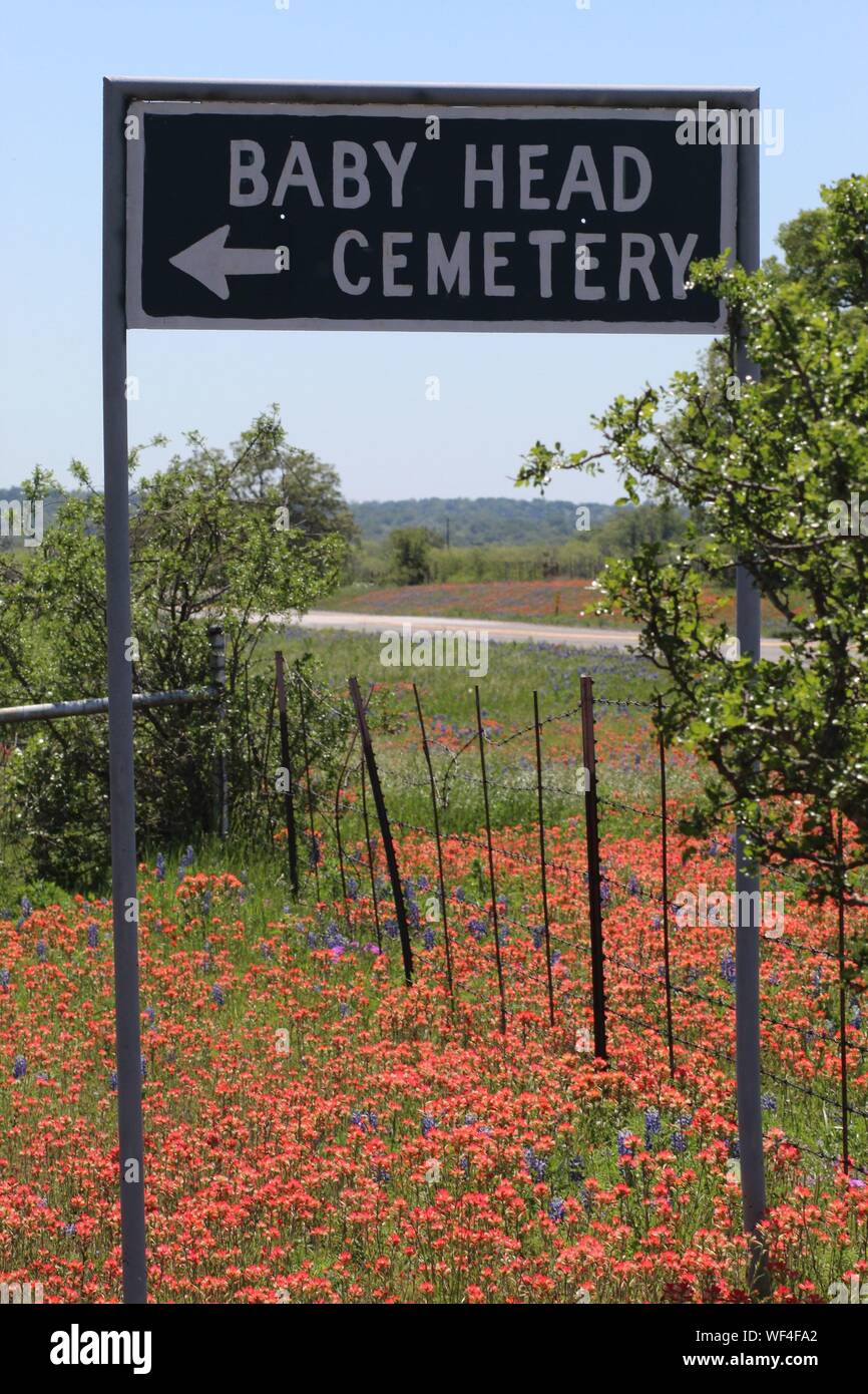 Un segno che indica la via verso la testa del bambino cimitero che è circondato da Indian Paintbrush e Texas Bluebonnets vicino Llano, Texas, Stati Uniti d'America Foto Stock