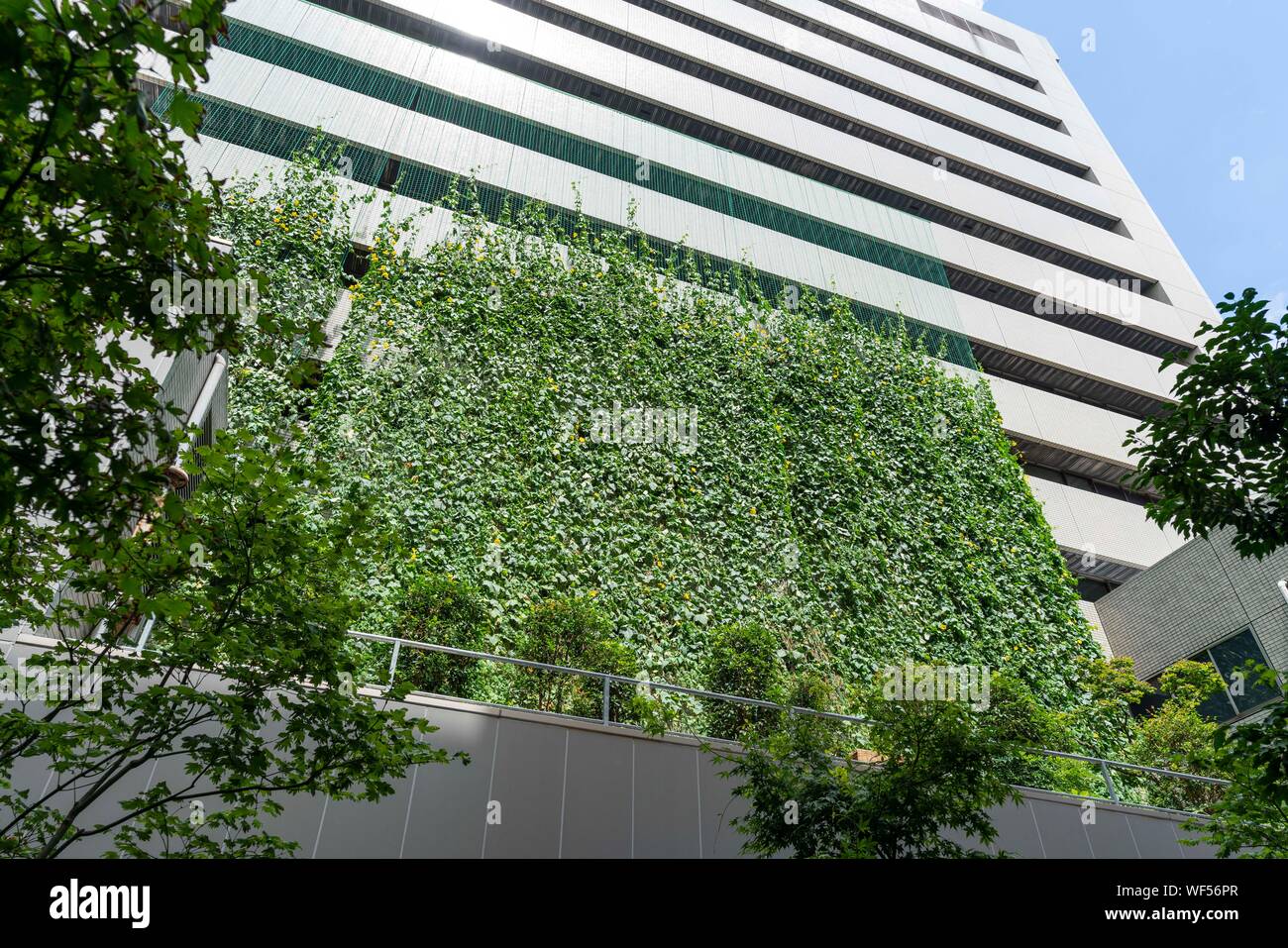 Inverdimento, Itabashi Ward Office, Itabashi-Ku, Tokyo, Giappone Foto Stock