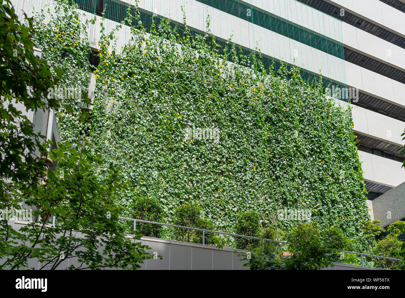 Inverdimento, Itabashi Ward Office, Itabashi-Ku, Tokyo, Giappone Foto Stock
