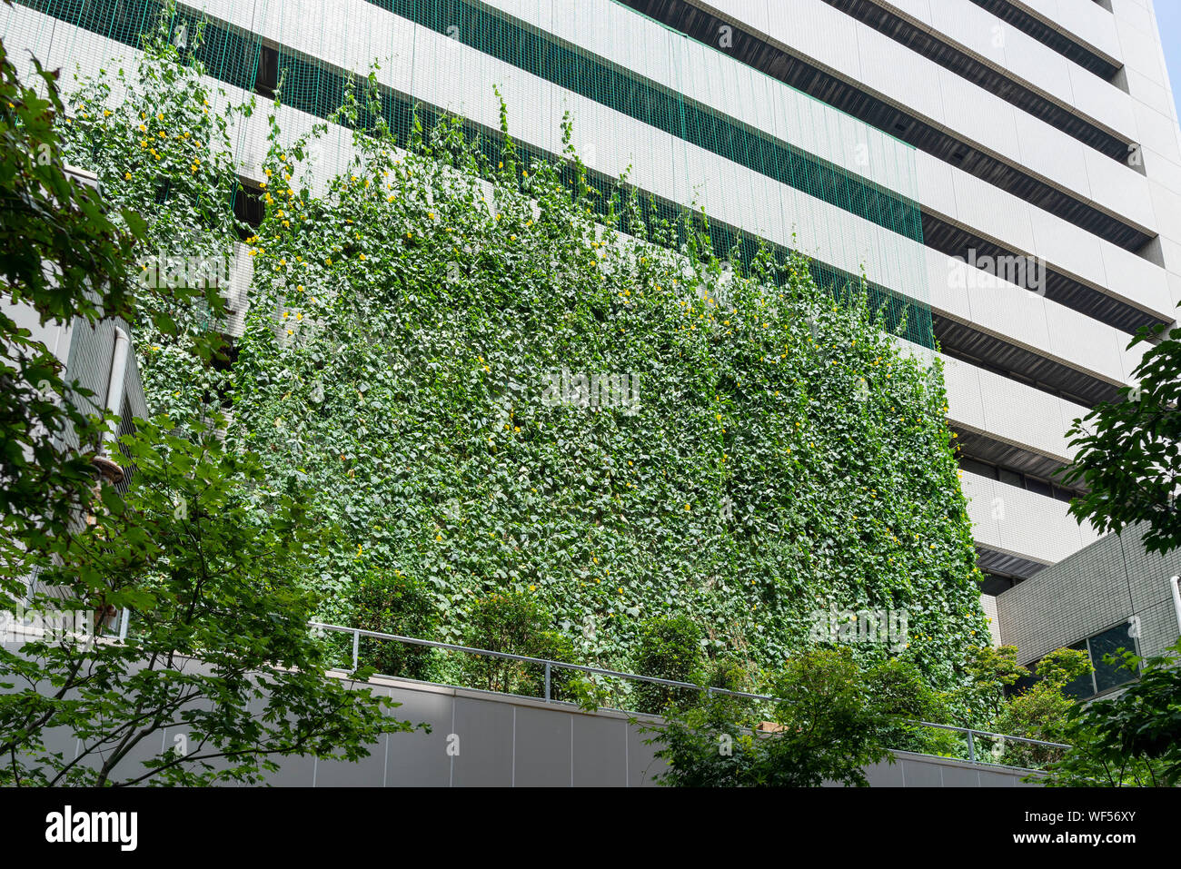 Inverdimento, Itabashi Ward Office, Itabashi-Ku, Tokyo, Giappone Foto Stock