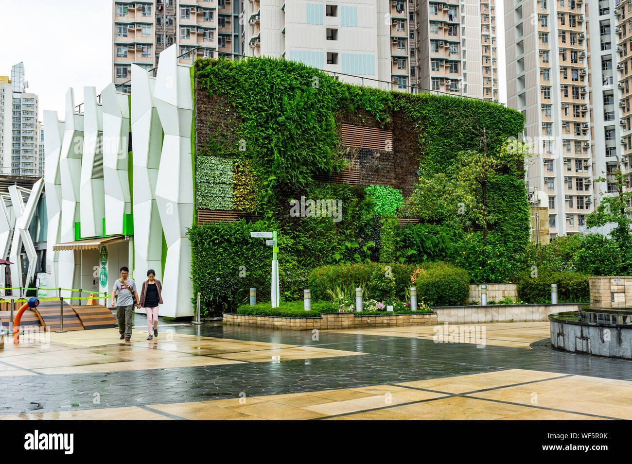 Giardino Verticale, parete verde in Hong Kong Foto Stock