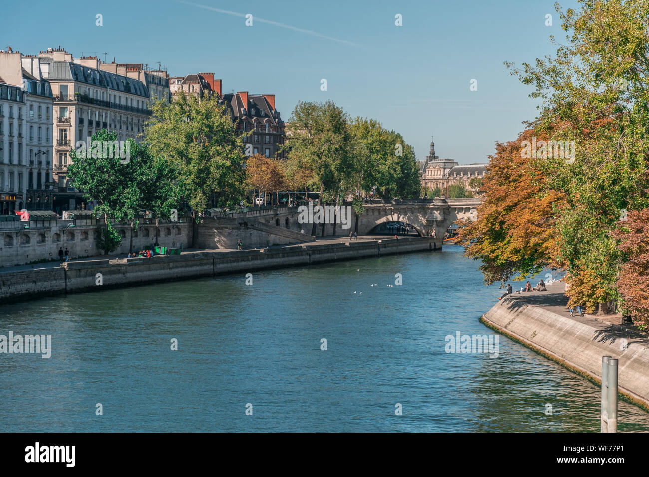 Prospettiva del naturale del fiume Senna tra l'ambiente urbano di Parigi, Francia, con alberi di voluttuoso e rilassante di persone ai margini nei pressi di CLA Foto Stock