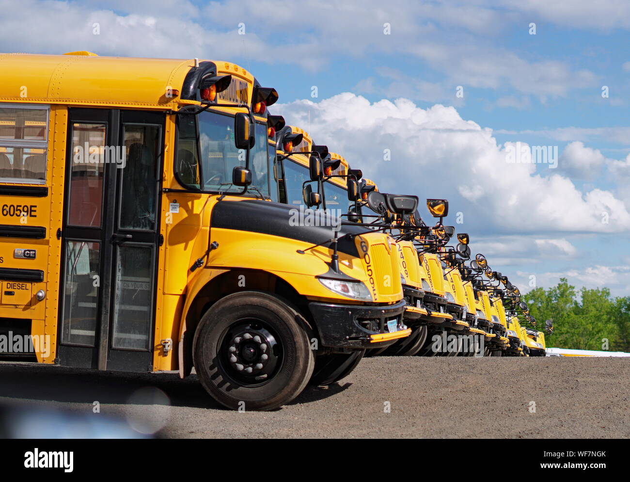 Middletown, CT / STATI UNITI D'America - 6 Giugno 2019: fila di giallo gli autobus scolastici in un parcheggio Foto Stock