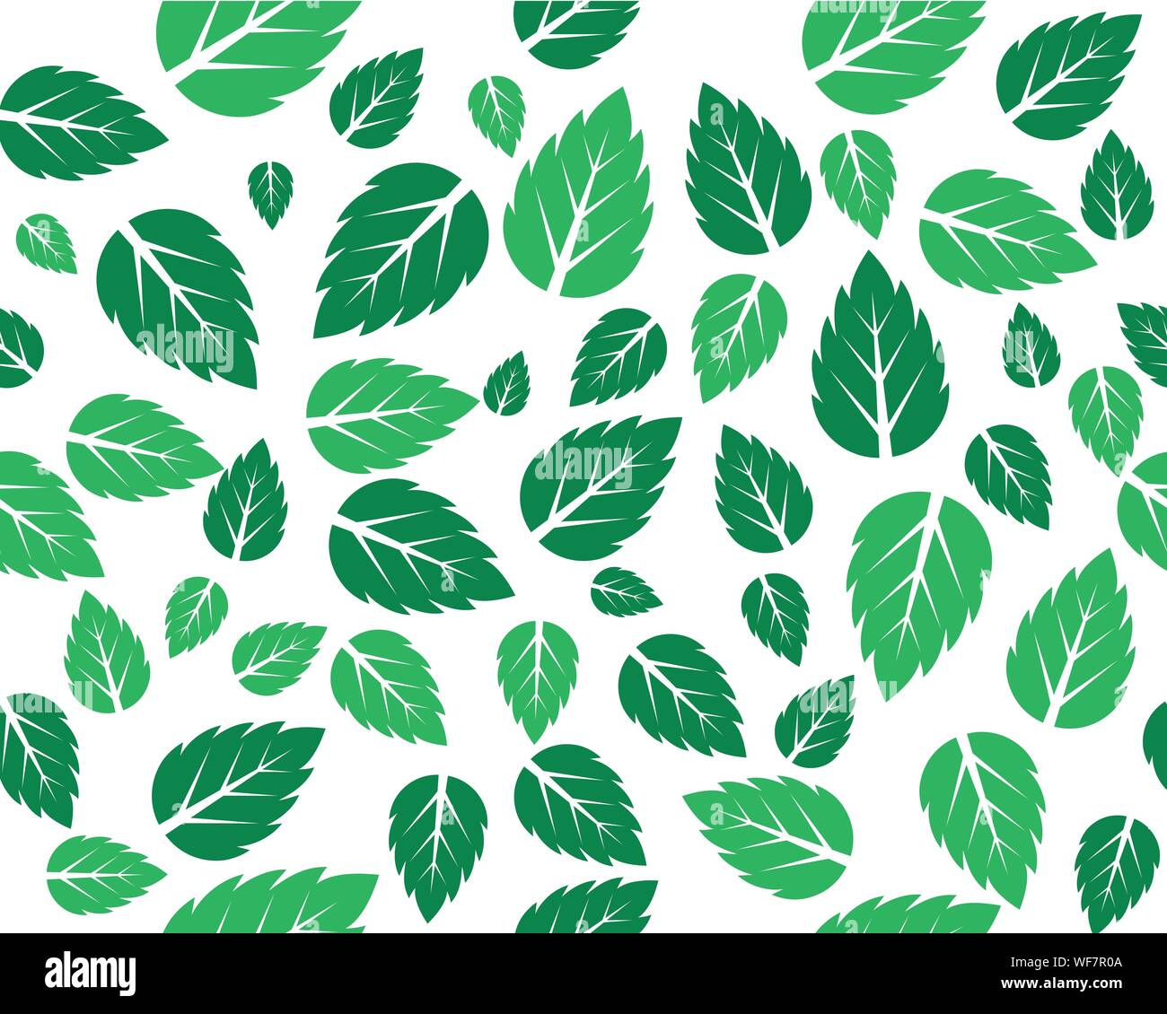 La menta foglie fresche vector pattern di sfondo Illustrazione Vettoriale