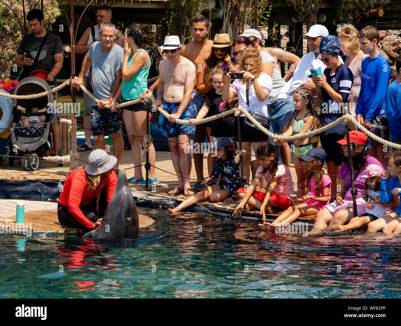Eilat, Israele - Agosto 29th, 2019: una guida di accarezzare un delfino mentre dà una spiegazione a un gruppo di turisti in Dolphin Reef in Eilat, Israele Foto Stock