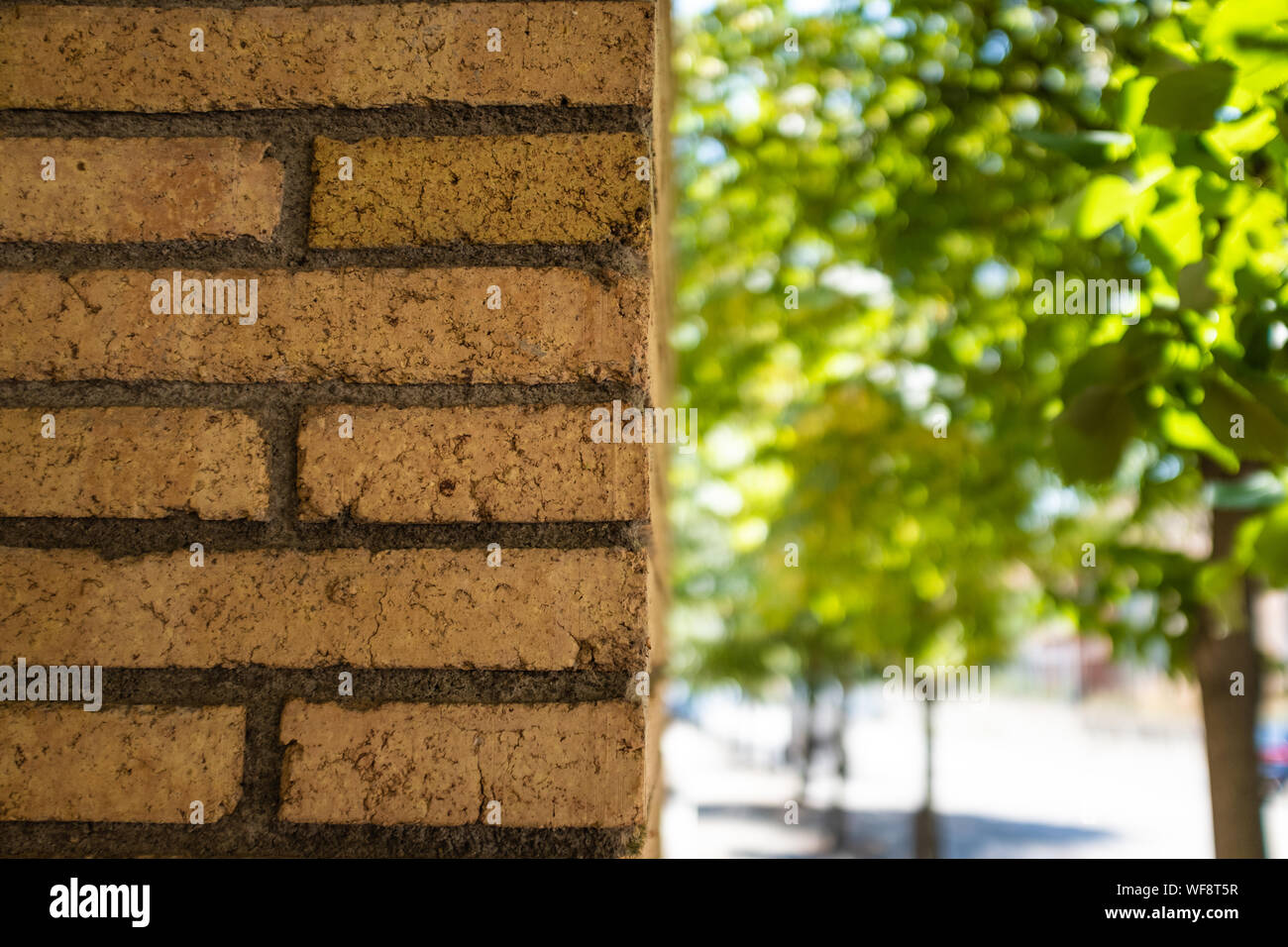 Muro di mattoni dimezzato su un verde parco naturale contrasto urbano Foto Stock