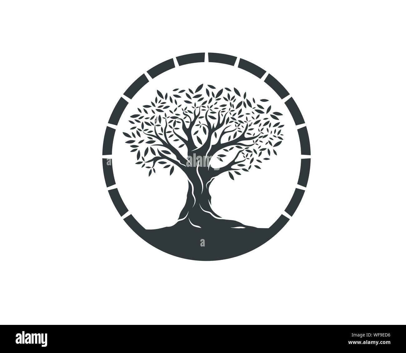 Albero di olivo illustrazione vettoriale del modello di progettazione Illustrazione Vettoriale