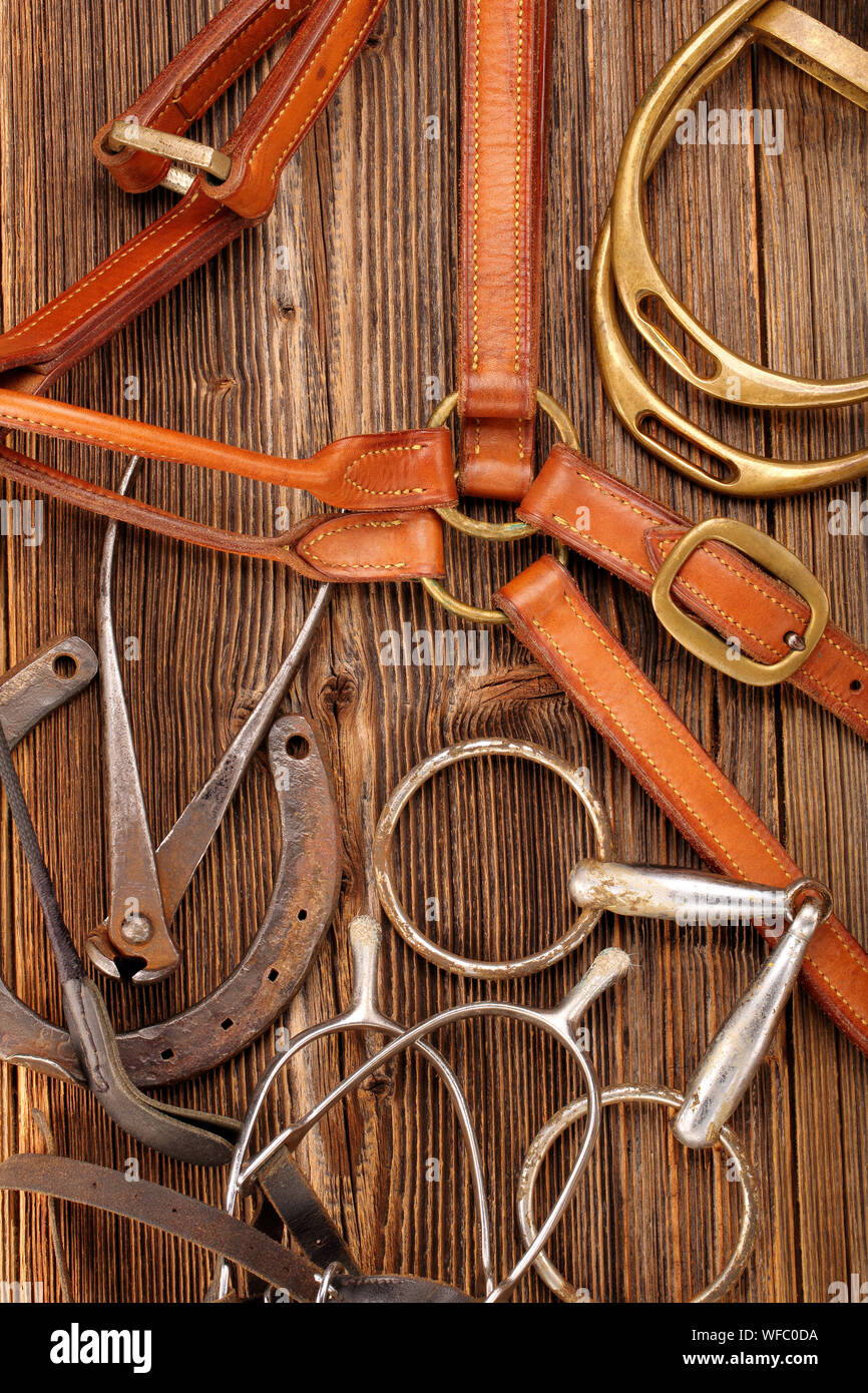 Set di attrezzatura per cavalli su sfondo di legno Foto Stock