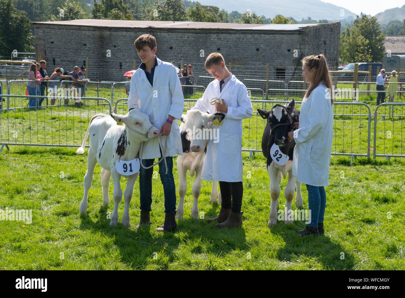 Speranza mostra su Ferragosto 2019 nel Derbyshire, Inghilterra. I giovani agricoltori che mostra i vitelli in bovini di anello. Foto Stock