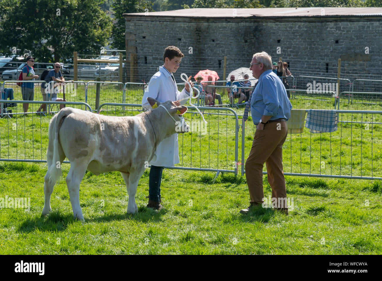 Speranza mostra su Ferragosto 2019 nel Derbyshire, Inghilterra. I giovani agricoltori che mostra i vitelli in bovini di anello. Foto Stock