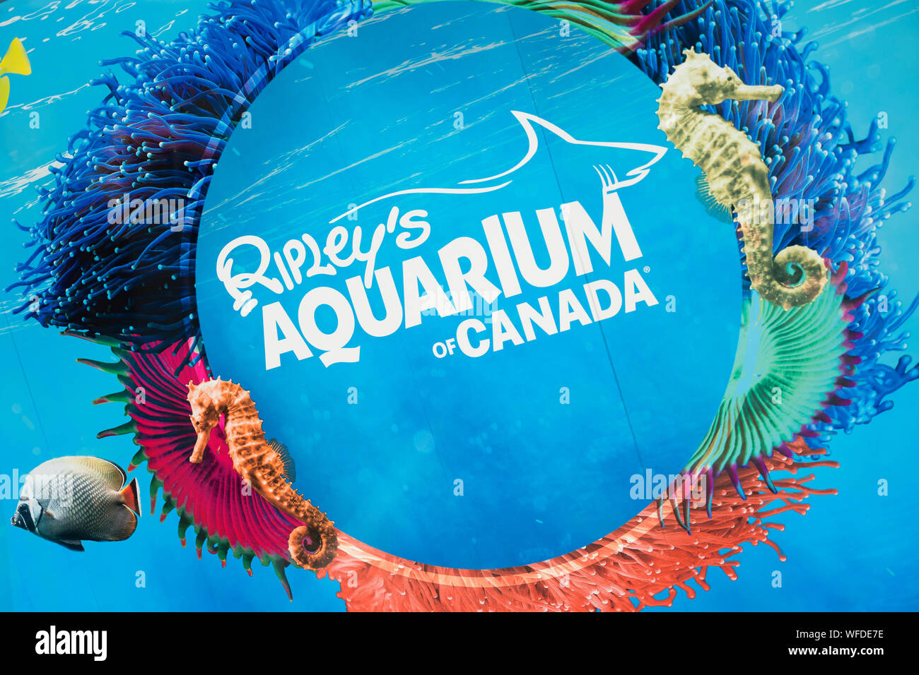 Firmare il Logo di Ripley's acquario di Canada, a Toronto Foto Stock