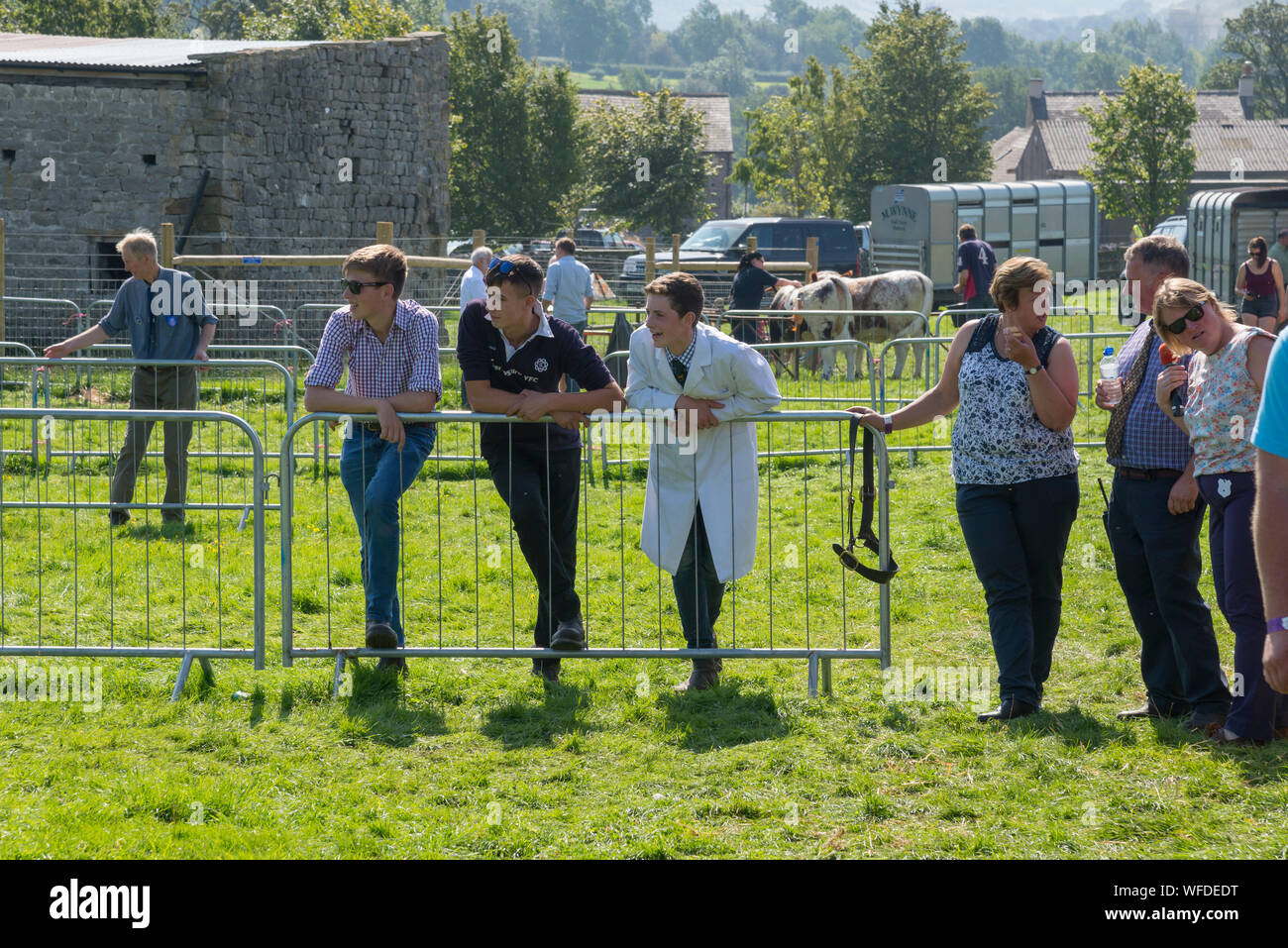 Speranza mostra su Ferragosto 2019 nel Derbyshire, Inghilterra. I giovani agricoltori la visione di una classe nel bestiame anello. Foto Stock
