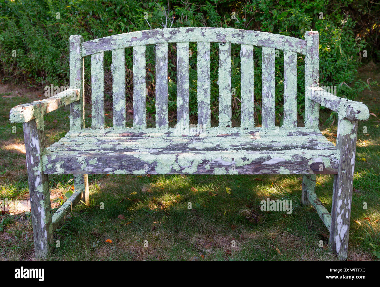 Weathered outdoor banco in un paesaggio verde Foto Stock