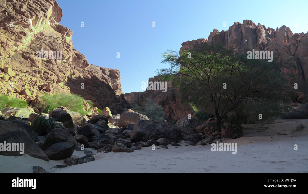 Panorama all'interno del canyon aka Guelta d'Archei, Est Ennedi, Ciad Foto Stock