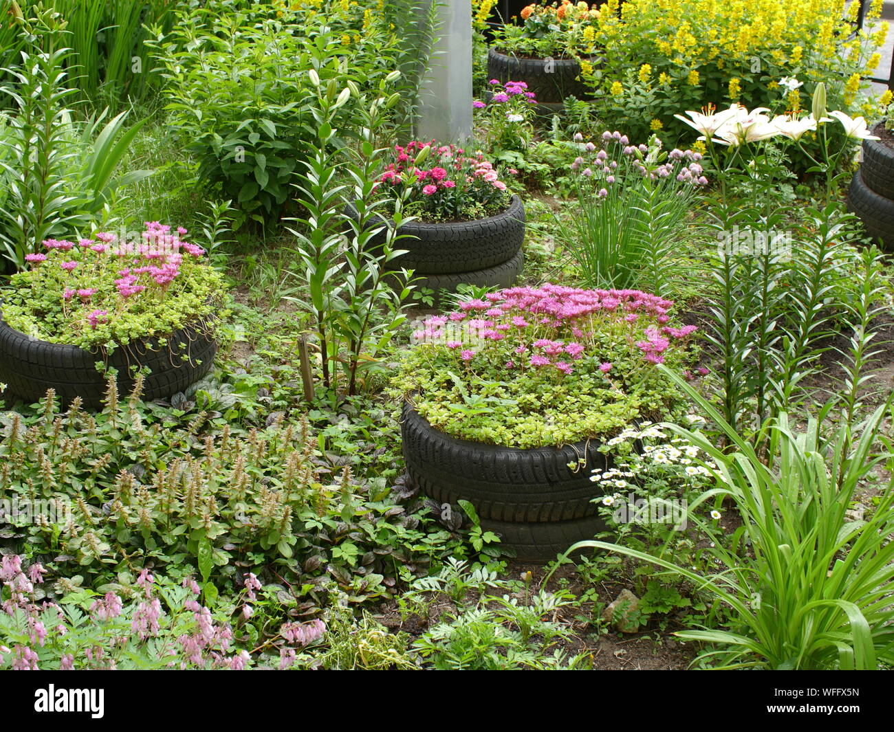 Piccolo giardino letto floreale è vecchi pneumatici Foto Stock