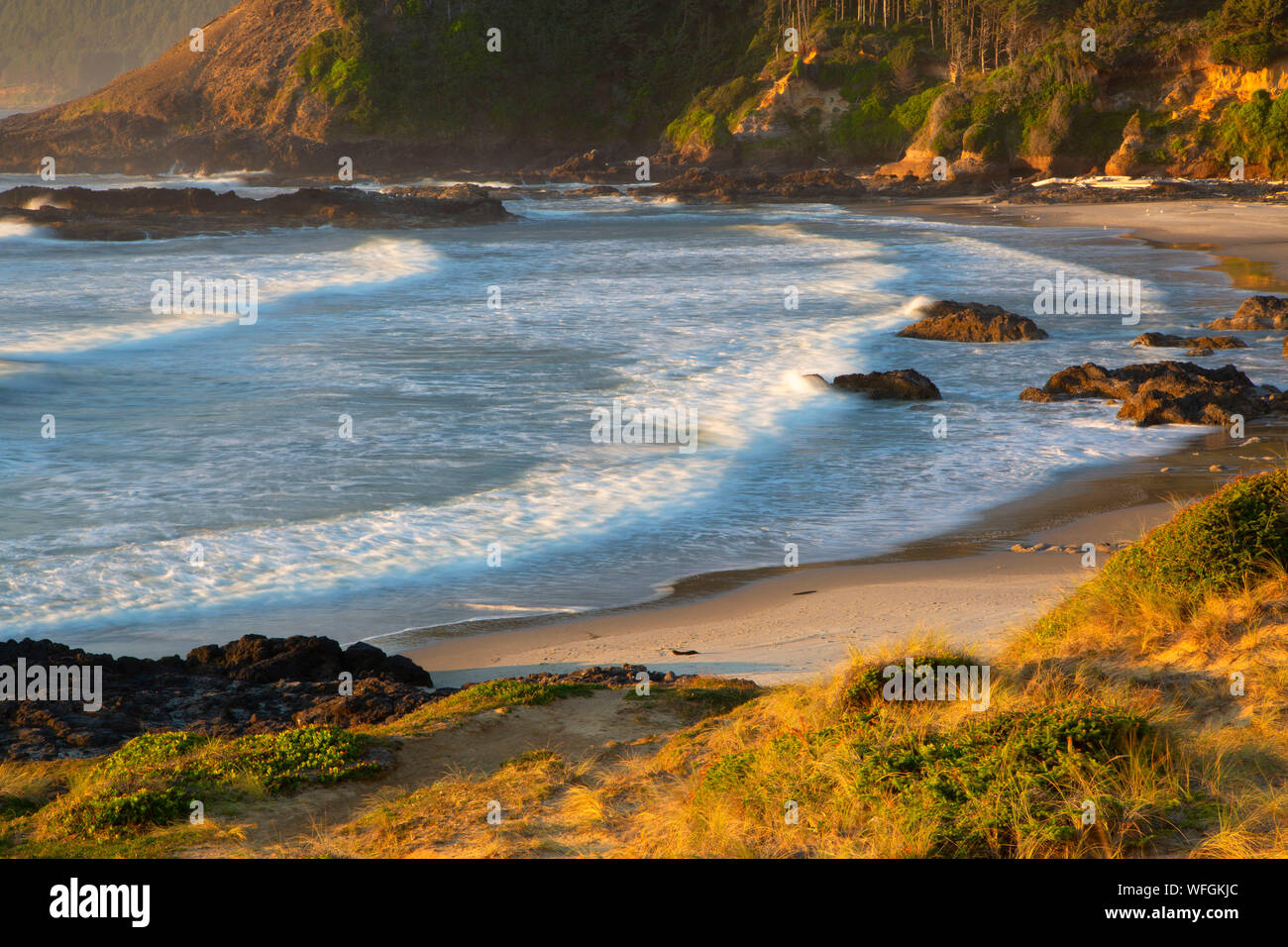 Cove a Strawberry Hill, Nettuno parco statale, Oregon Foto Stock