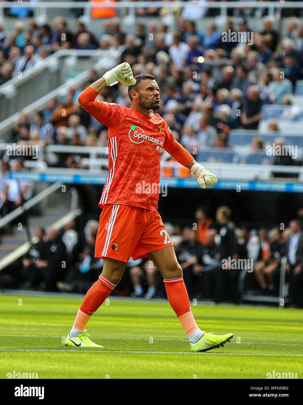 Il 31 agosto 2019; Saint James Park, Newcastle, Tyne and Wear, Inghilterra; English Premier League Football, Newcastle United versus Watford Football Club; Ben adottivo di Watford celebra come andare avanti 0-1 in 2 minuto dopo l'obiettivo sarà Hughes - solo uso editoriale. Credit: Azione Plus immagini di sport/Alamy Live News Foto Stock