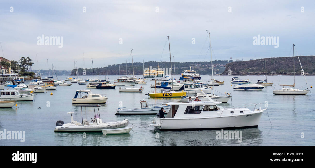 Barche ormeggiate e ancorato nel porto di Sydney a Manly NSW Australia. Foto Stock