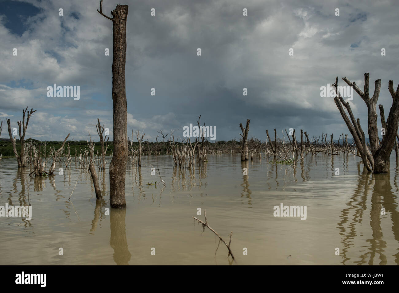 Lake Baringo, il Parco Nazionale del Kenya, Africa Foto Stock