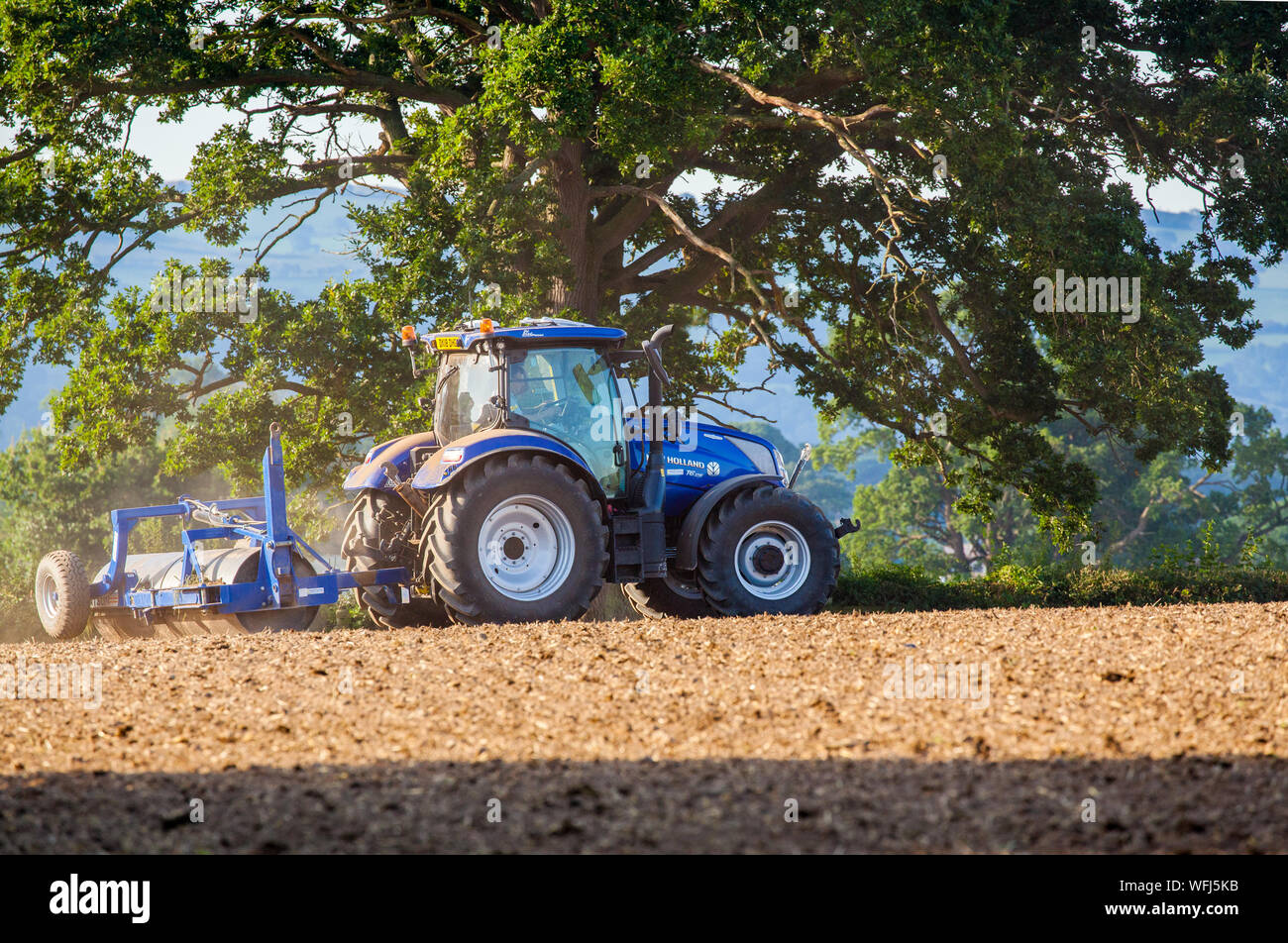 Agricoltore la laminazione di una recente arata ed erpicò campo di fattoria con un trattore New Holland in Welsh campagna vicino a Ruthin in clwd Galles del Nord Foto Stock