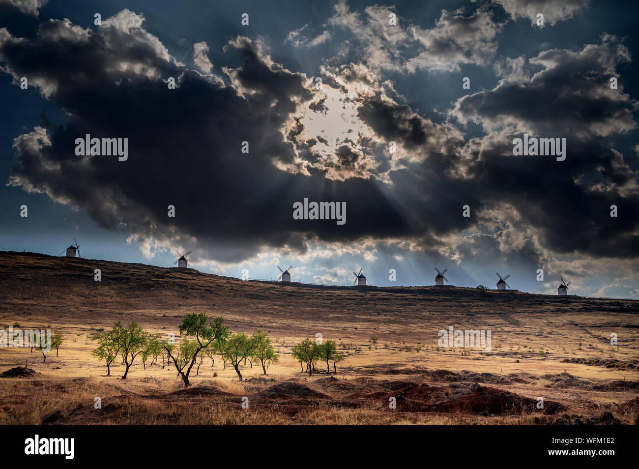 Mulini a vento di Don Chisciotte della Mancia Consuegra Spagna i mulini di Consuegra sono una serie di mulini situato nel cosiddetto 'Calderico hill' Foto Stock