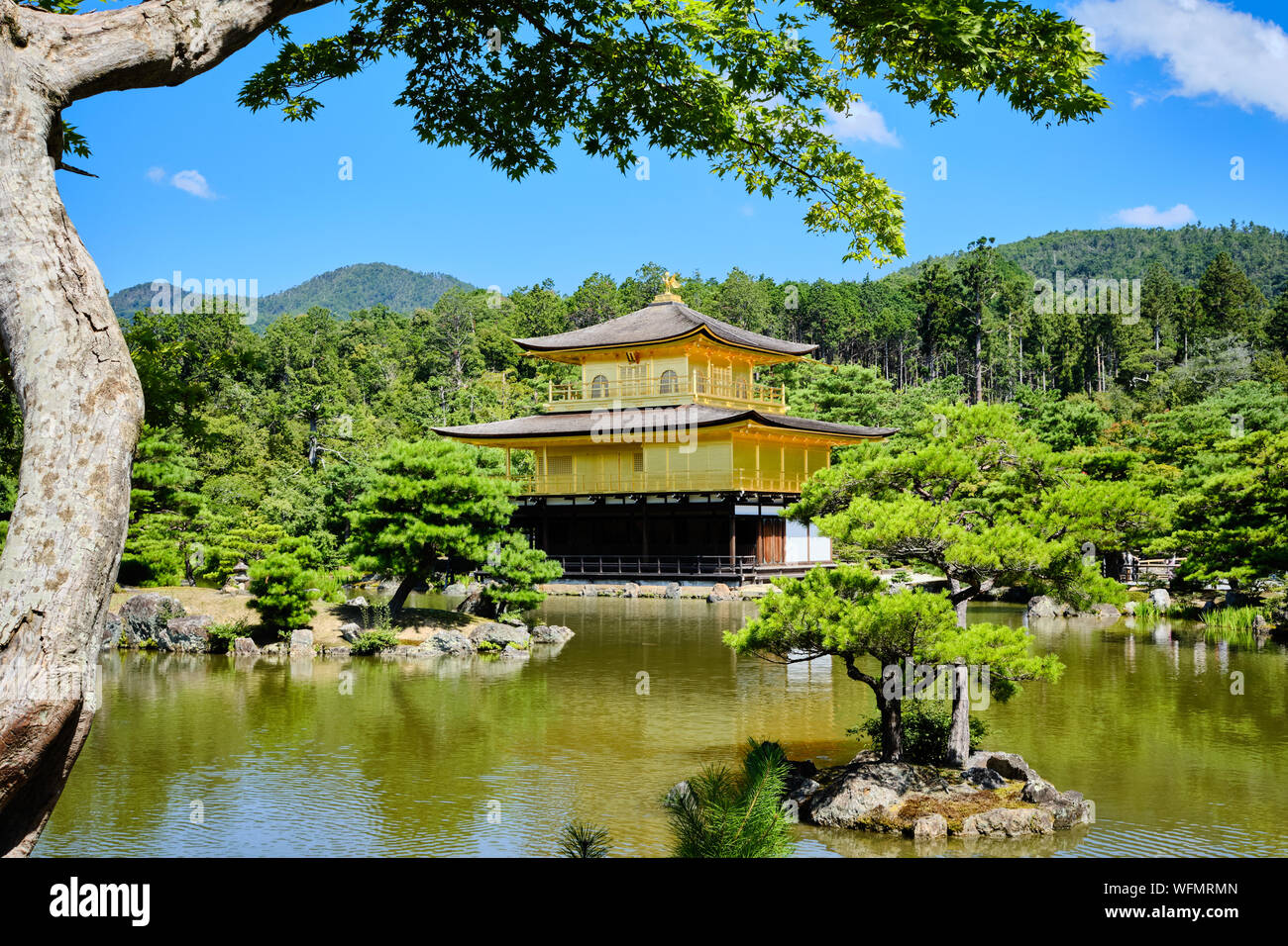 Kyoto / Giappone - 5 Agosto 2019: Kinkakuji o il padiglione dorato nella parte nord di Kyoto, Giappone si vede attraverso il grande stagno. Foto Stock