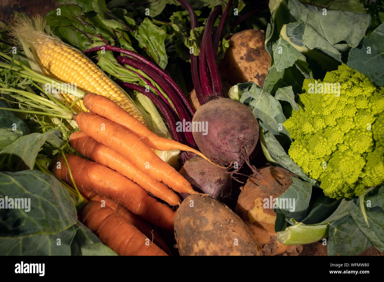 Cinque al giorno e uno stile di vita sano opzioni. Appena raccolto verdure direttamente dal terreno e raccolto. Foto Stock