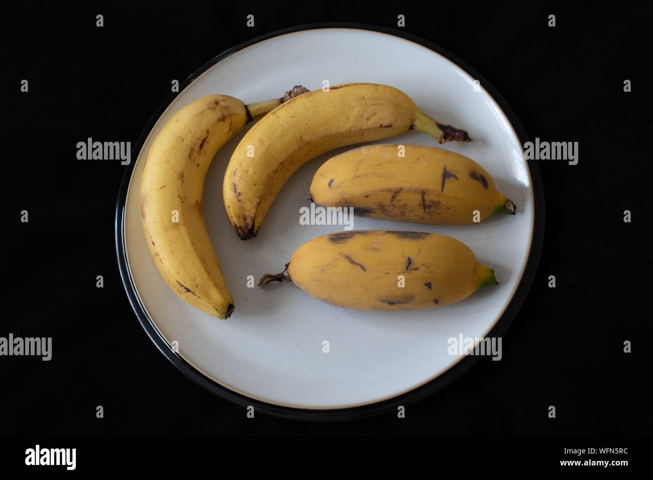 Cavendish e nana banane orinoco Foto Stock