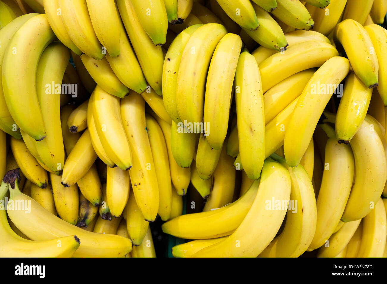 Banane brunch ricco di calorie, proteine e grassi sani. Per uno stile di vita sano e vegan, nutrizione vegetariana. Foto Stock