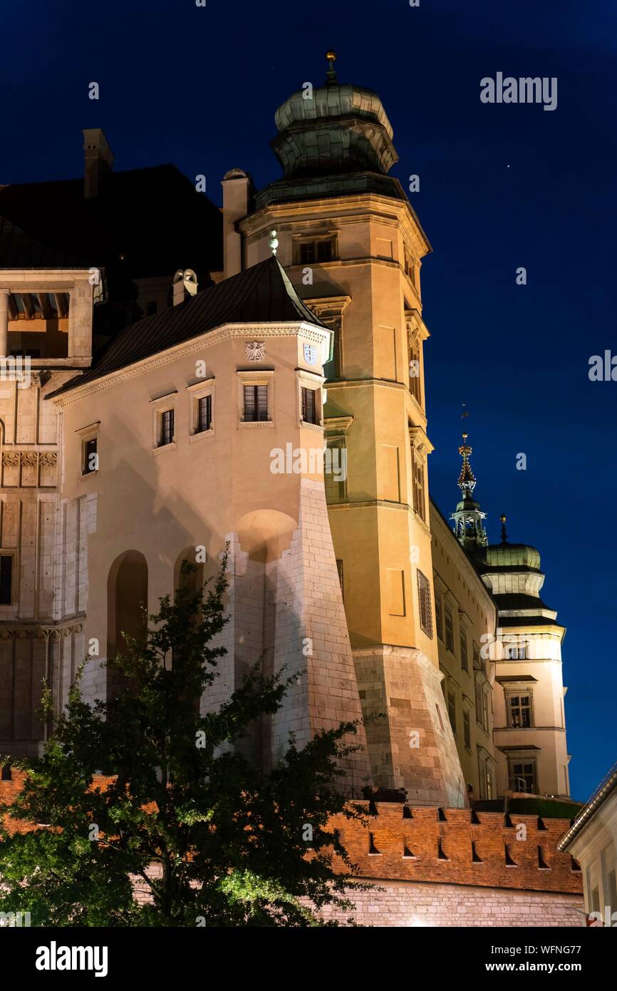 Polonia, Voïvodie Piccola Polonia, Cracovia, Stare Miasto distretto, Sito del Patrimonio Mondiale, Città Vecchia, il castello di Wawel e la sua cattedrale Foto Stock