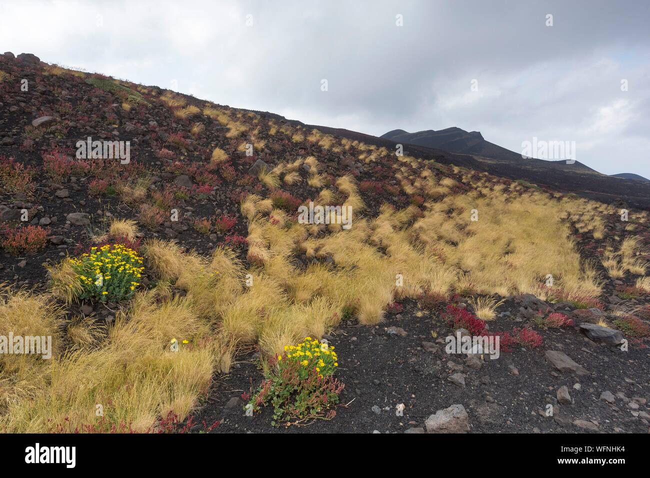 L'Italia, Sicilia Etna Parco Naturale Regionale del Monte Etna, Sito Patrimonio Mondiale dell'UNESCO, Versante Nord Foto Stock