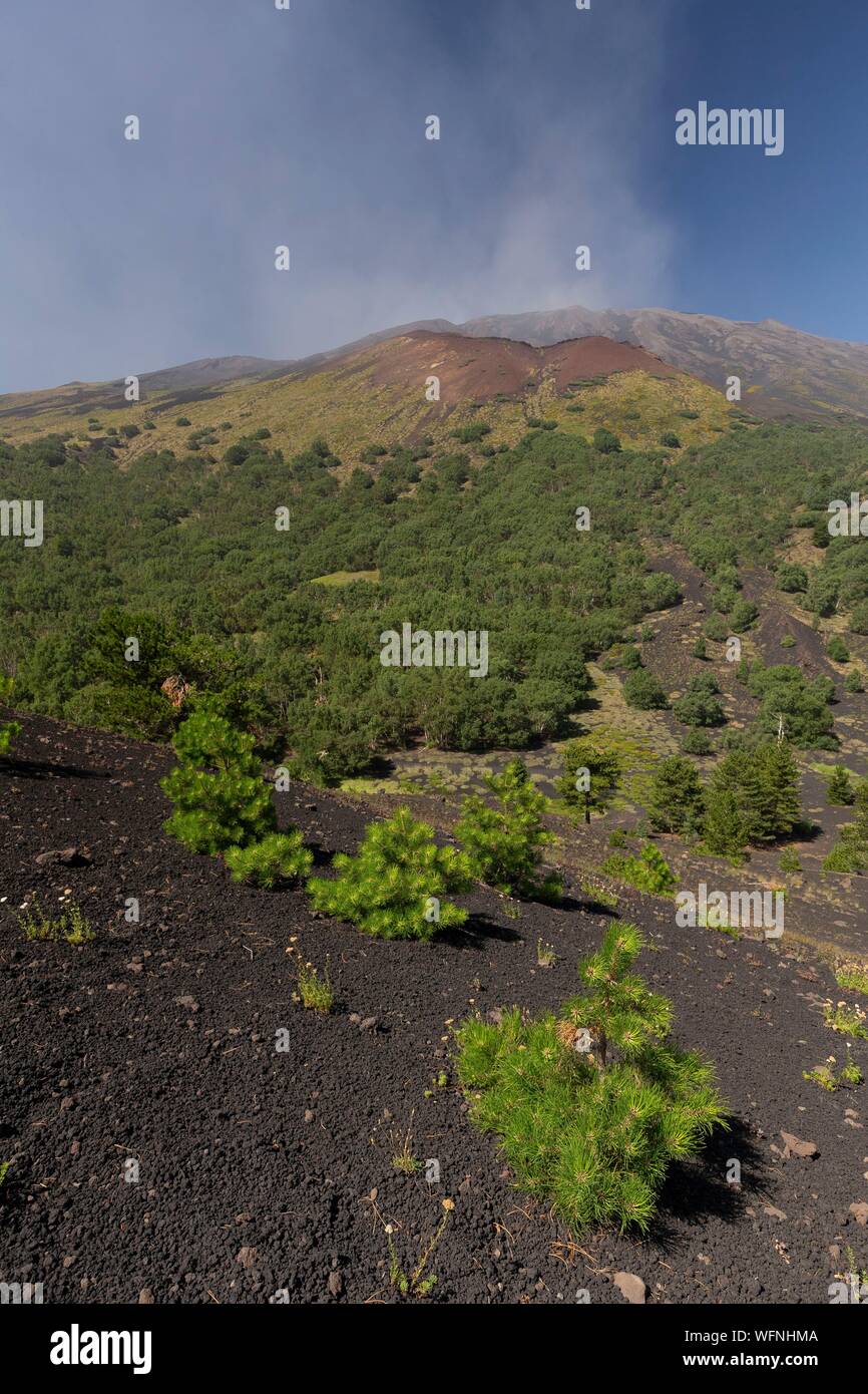 L'Italia, Sicilia Etna Parco Naturale Regionale del Monte Etna, Sito Patrimonio Mondiale dell'UNESCO, versante Nord, i Monti Sartorius Foto Stock