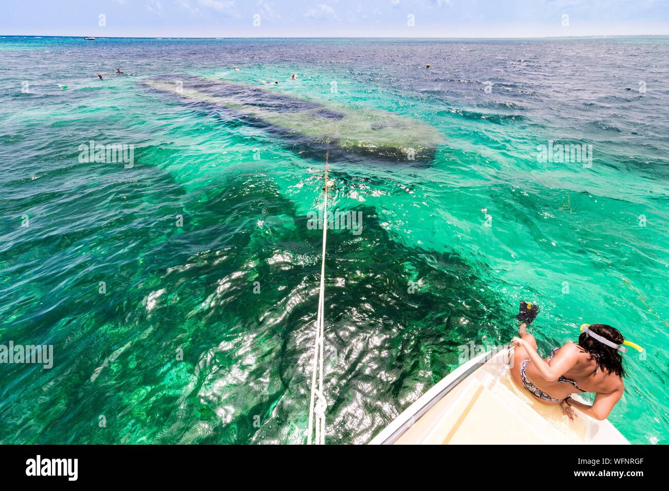 Francia, Caraibi Piccole Antille, Guadalupa, Grand Cul de Sac Marin, il cuore della Guadalupa National Park, snorkeling su un relitto colonizzata dai coralli Foto Stock