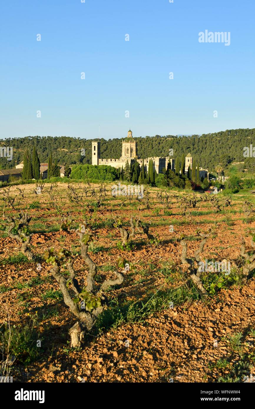 In Spagna, in Catalogna, provincia di Tarragona, Alt Camp comarca, La Ruta del Cister, Aiguamurcia, monastero di Santes Creus Foto Stock