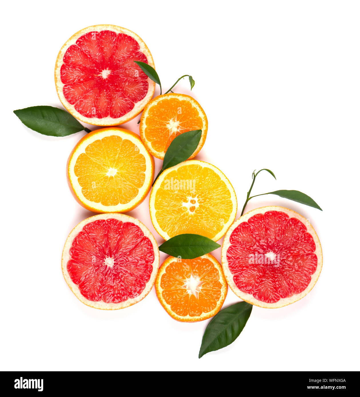 Agrumi isolati su sfondo bianco. Isolato di agrumi. Pezzi di limone, pompelmo rosa e arancio isolato su sfondo bianco, con Foto Stock