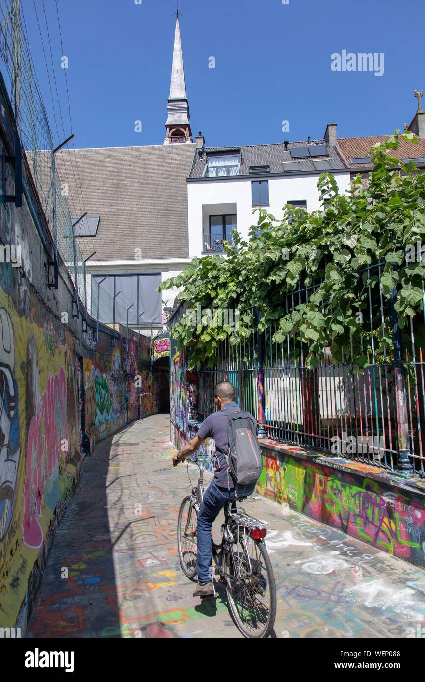 Belgio Fiandre Orientali, Gand, Werregaren Straatje, i graffiti vicolo, strada decorata da taggers e artisti di graffiti cambia ogni settimana Foto Stock