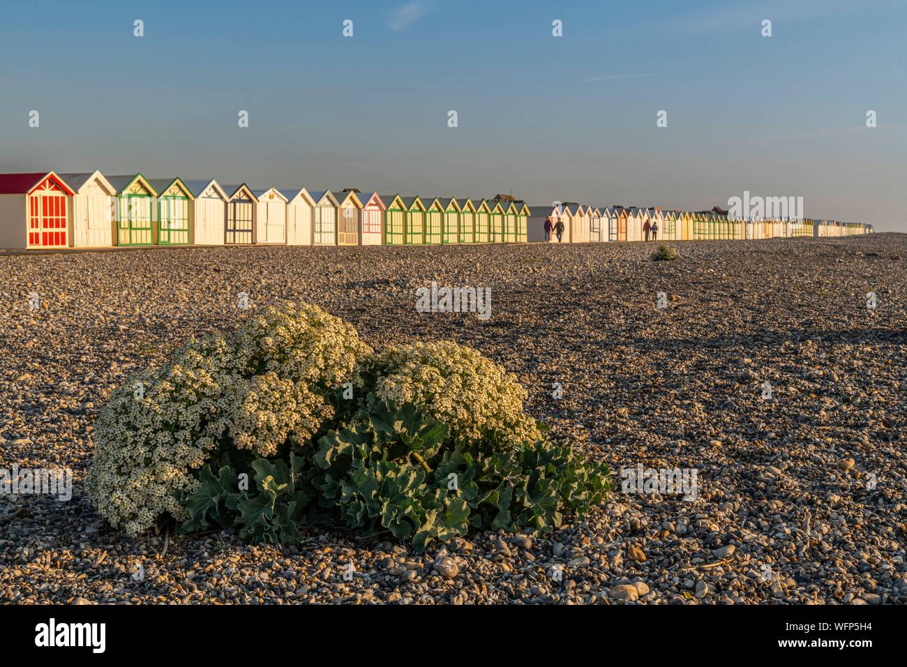 Francia, Somme, Cayeux sur Mer, le schede del percorso in Cayeux sur Mer è il più lungo in Europa lo sport la sua pittoresca spiaggia di cabine con nomi evocativi su quasi 2 km di lunghezza sul cavo di ghiaia Foto Stock