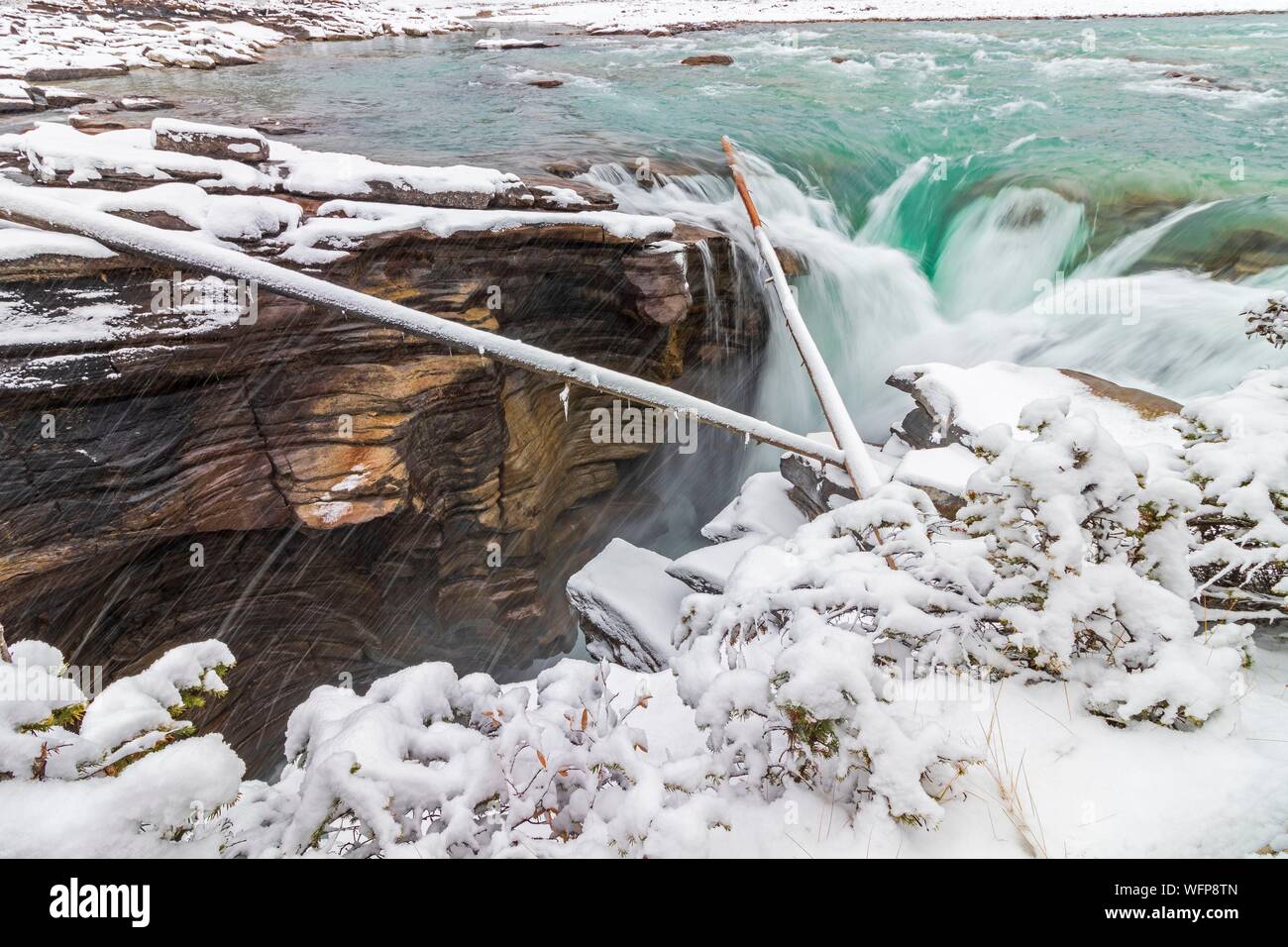 Canada, Alberta, Canada Montagne Rocciose elencati come Patrimonio Mondiale dell'UNESCO, il Parco Nazionale di Jasper, Icefields Parkway, Cascate Athabasca in inverno Foto Stock