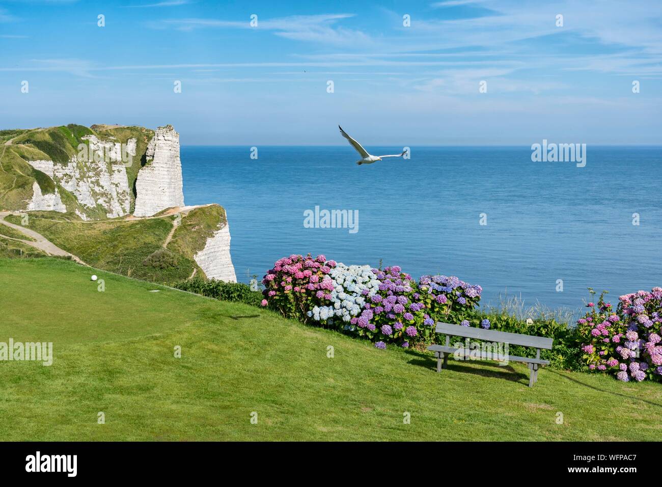 Francia, Seine Maritime, Etretat, Cote d'Abatre, il golf Foto Stock