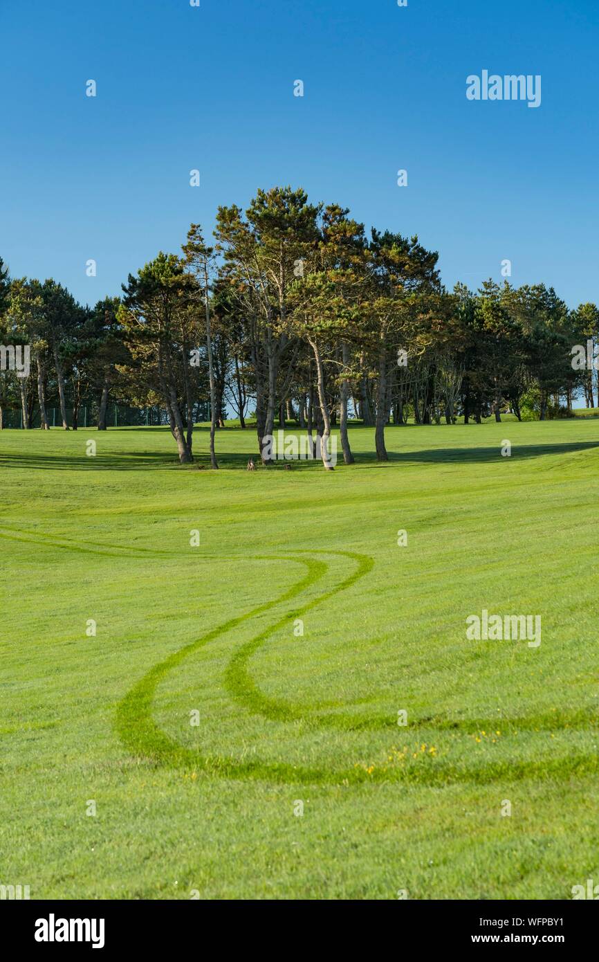 Francia, Seine Maritime, Etretat, Cote d'Abatre, il golf Foto Stock