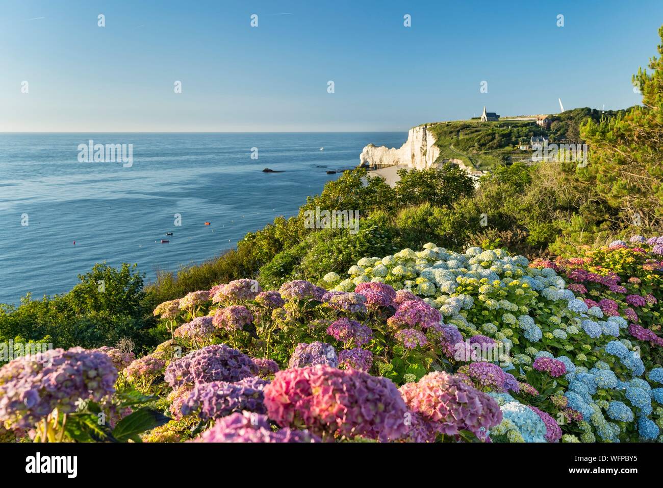 Francia, Seine Maritime, Etretat, Cote d'Abatre, il golf Foto Stock