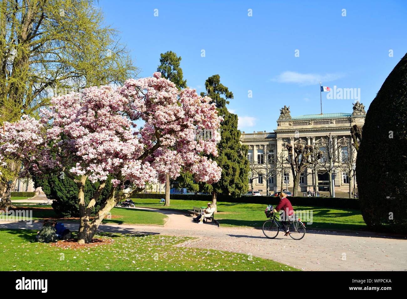 Francia, Bas Rhin, Strasburgo, quartiere Neustadt risalenti al periodo tedesco elencati come patrimonio mondiale dall' UNESCO, Place de la Republique, magnolie in fiore, il Teatro Nazionale di Strasburgo (TNS) Foto Stock