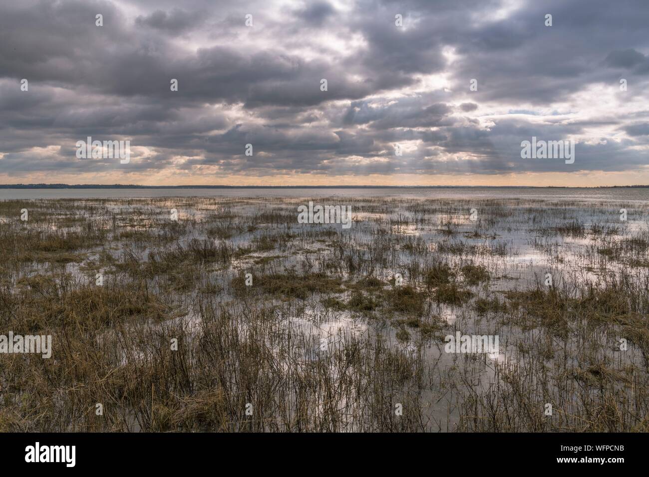Francia, Somme, Somme Bay, Le Crotoy, i prati inondati dalle alte maree nella baia della Somme Foto Stock