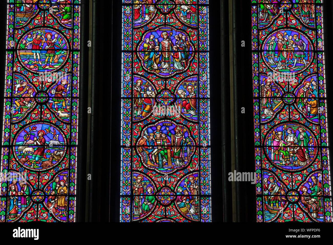 Irlanda, Dublino, la Cattedrale di San Patrizio, culto anglicano un assedio della chiesa irlandese, finestre di vetro colorato che descrivono i diversi periodi della st Patrick vita Foto Stock