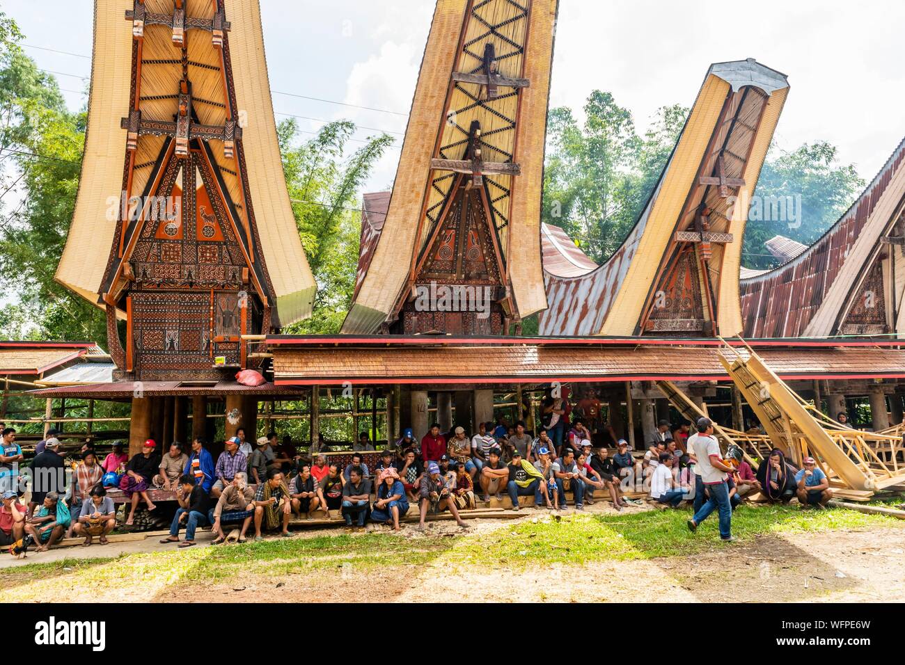 Indonesia Sulawesi island, Toraja paese, Tana Toraja, area Rantepao, rooster lotta Foto Stock