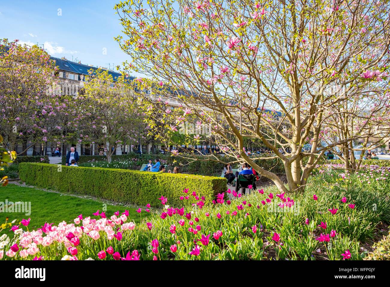Francia, Parigi, giardino del Palais Royal Foto Stock