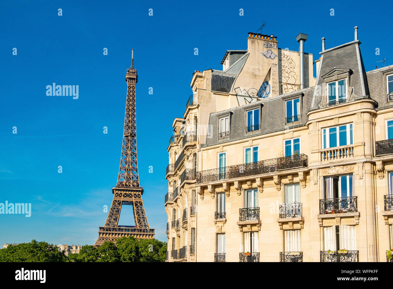 Francia, Parigi, edifici in stile Haussmann che e la Torre Eiffel, quindicesimo arrondissement Foto Stock