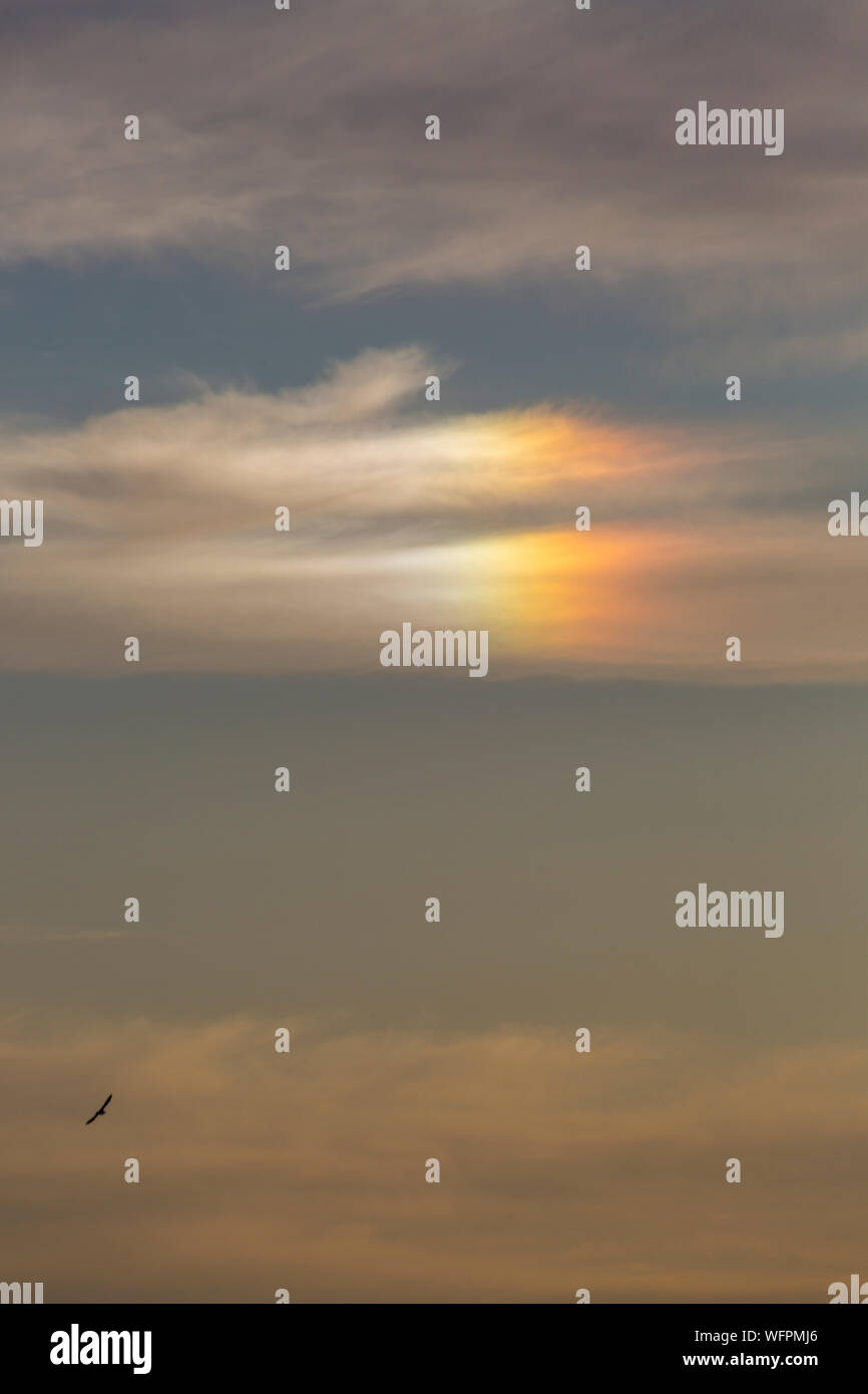 Bournemouth Dorset UK. Il 31 agosto 2019. Regno Unito meteo: un sundog, mock sun, o parhelion, formata dalla luce del sole che splende attraverso i cristalli di ghiaccio in aria costituisce in Bournemouth dopo una giornata mista di meteo - piovoso e umido pomeriggio presto, trasformando in una gloriosa caldo e soleggiato nel pomeriggio e la sera come la folla gregge al mare a Bournemouth Beach per guardare il Bournemouth air festival. Credito: Carolyn Jenkins/Alamy Live News Foto Stock