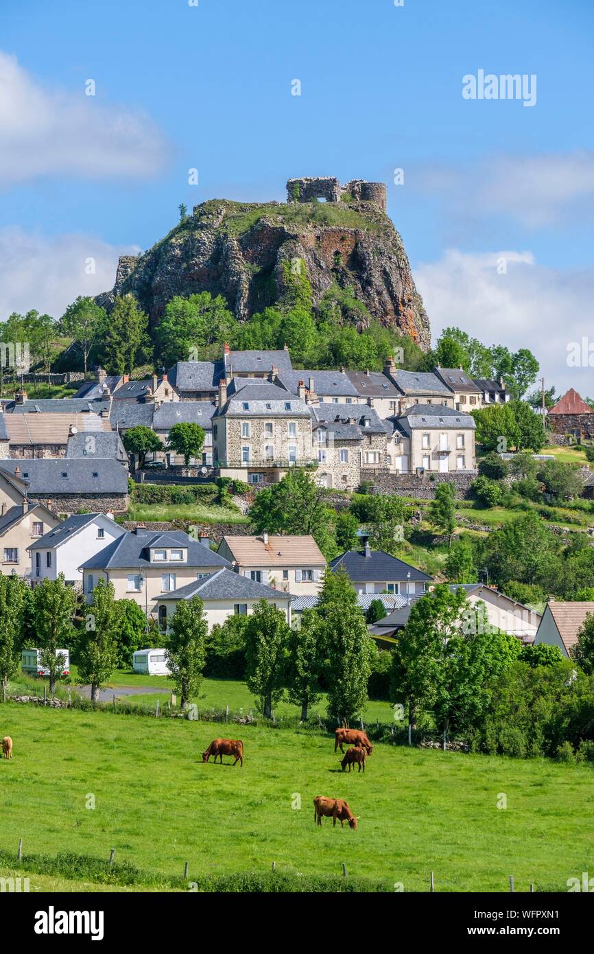 Francia, Cantal, parco naturale regionale dei vulcani di Auvergne, Monts du Cantal (Cantal supporti), Vallee de Cheylade (Cheylade valley), Apchon, il villaggio e i ruderi del castello posto sulla sommità di una diga basaltica Foto Stock