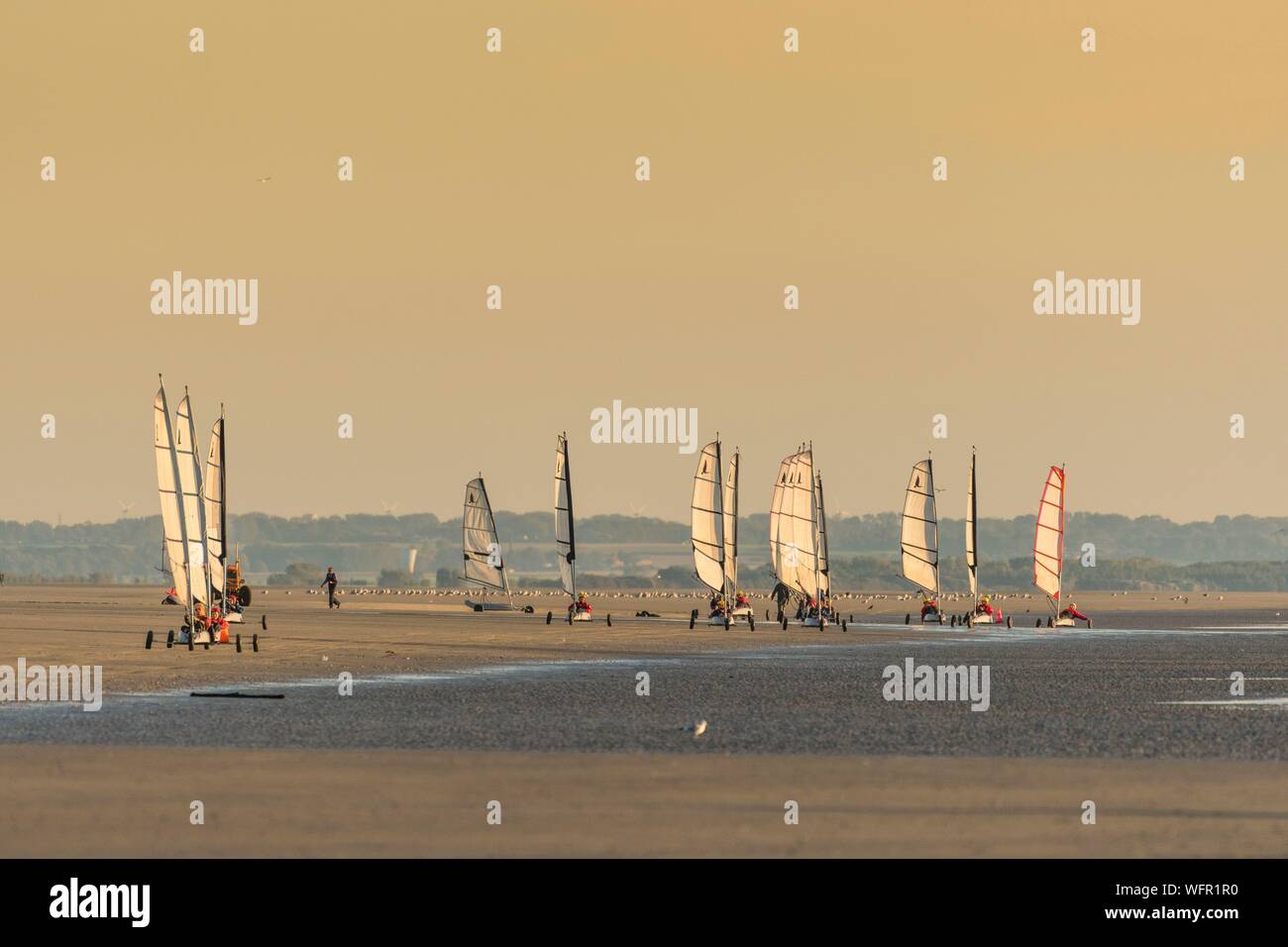 Francia, Somme (80), Marquenterre, Quend-Plage, grandi spiagge di sabbia della costa spazzate dal vento della Piccardia sono un luogo ideale per la pratica della vela-trasportatore Foto Stock